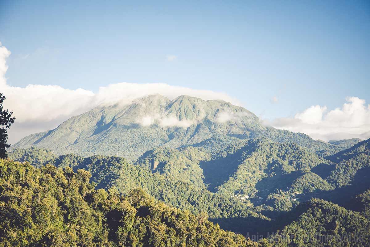 Der Morne Trois Pitons ist 1.342 Meter hoch