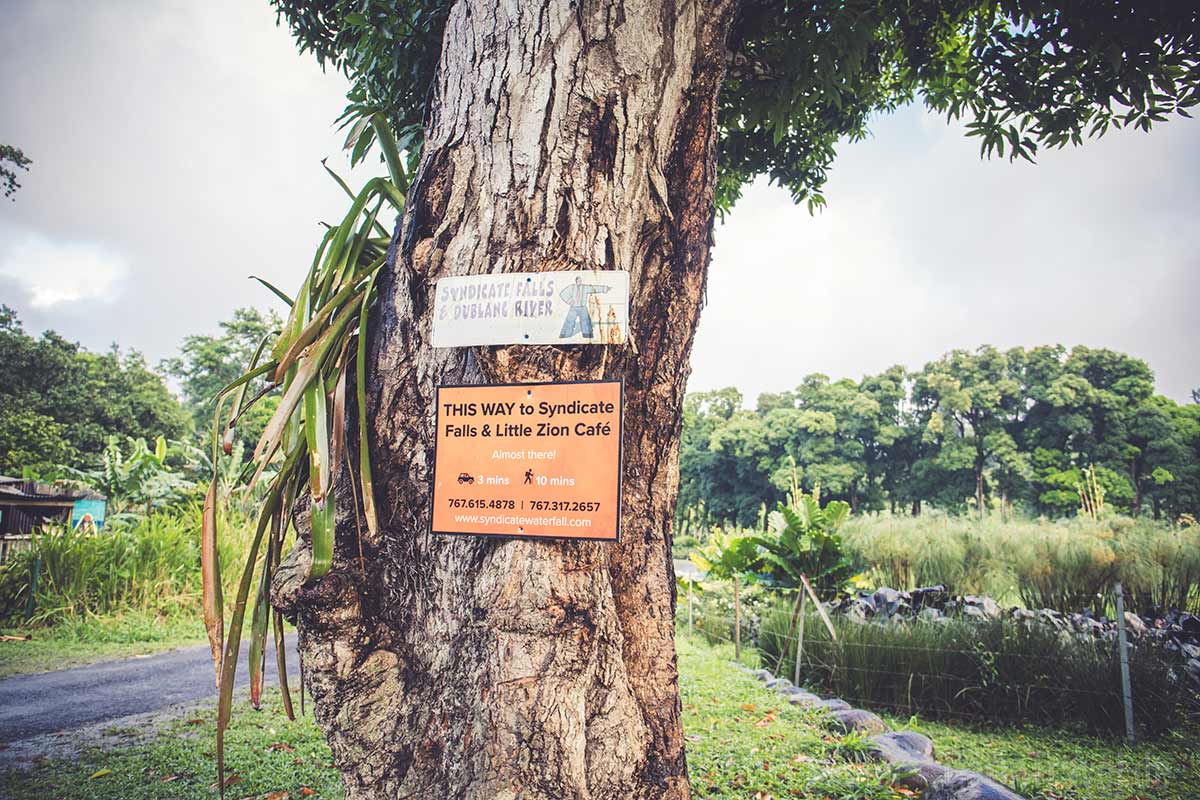 Weg zum Syndicate Falls Weg zum Syndicate Falls