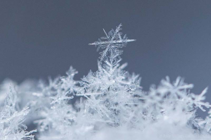 Schneeflocken fotografieren 11 Tipps für atemraubende Fotos