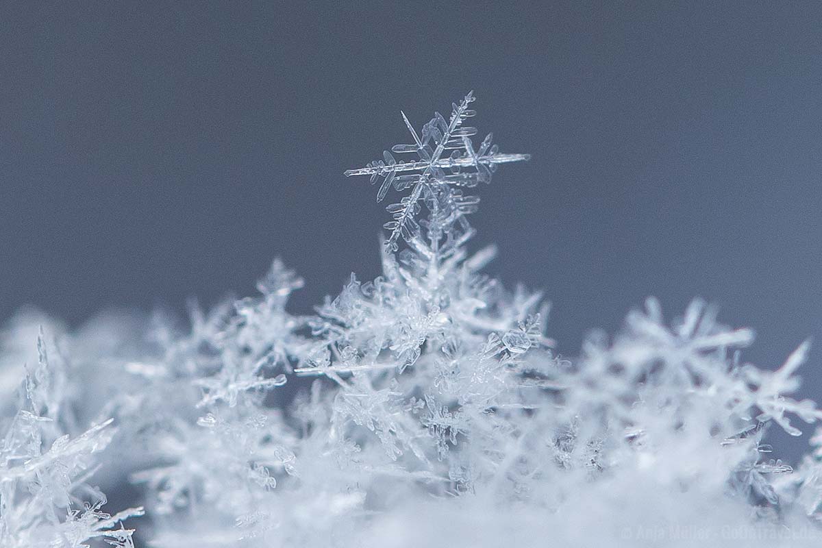 eine Schneeflocke = viele Eiskritalle