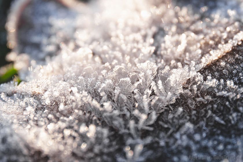 Eiskristalle im Sonnenlicht