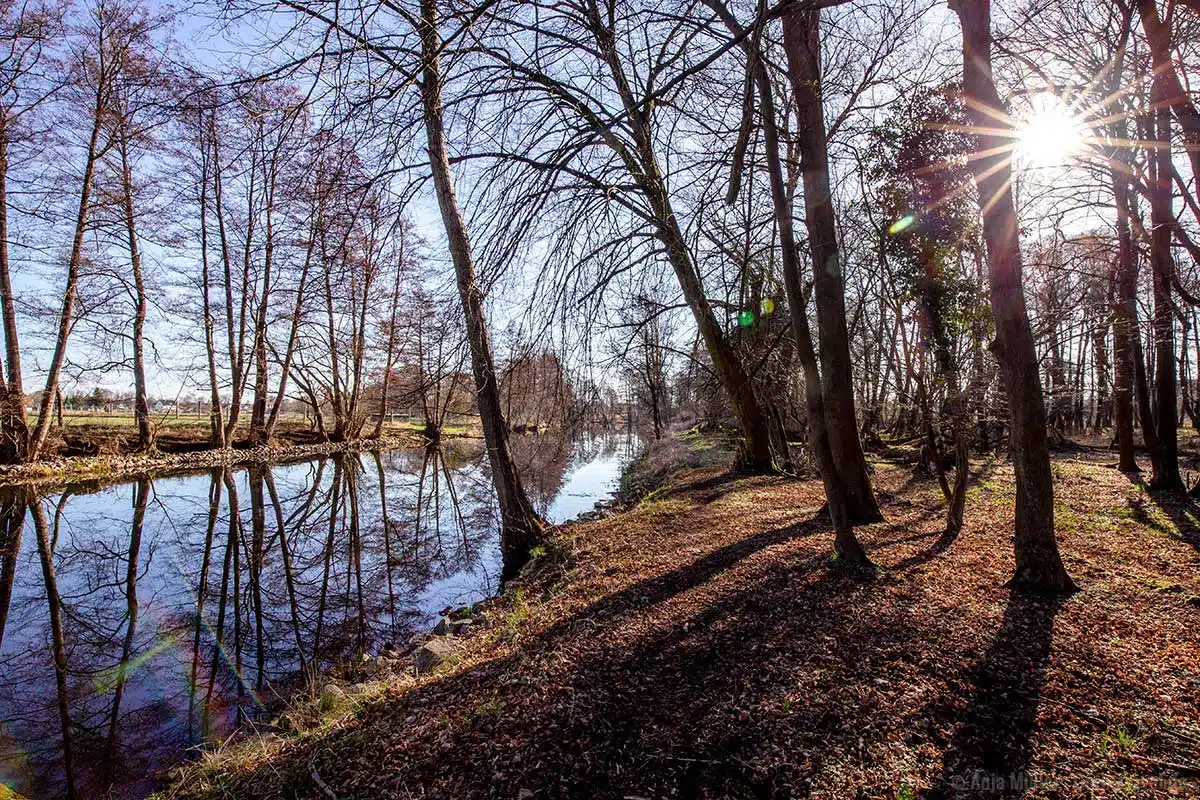 Morgens am Finowkanal Morgens am Finowkanal