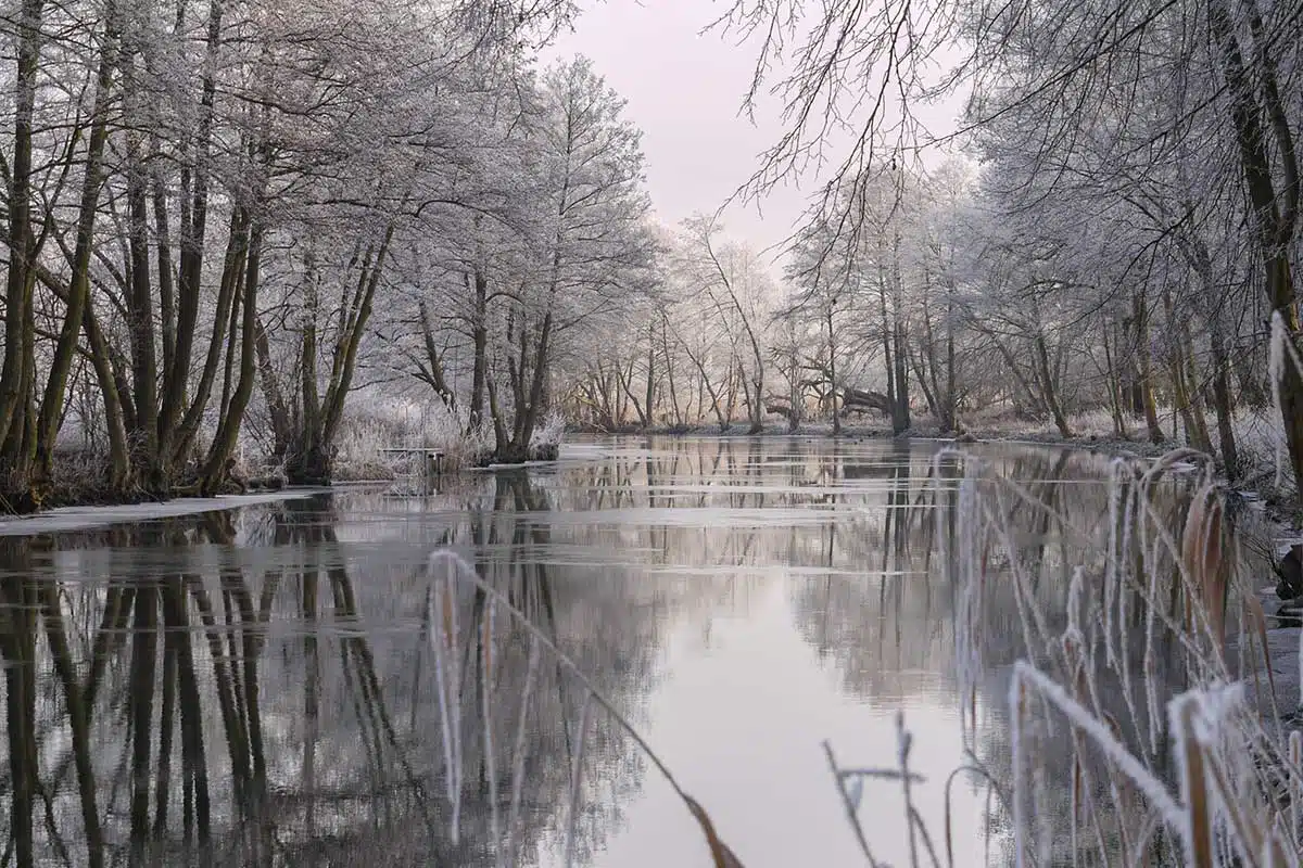 Finowkanal im Winter Finowkanal im Winter