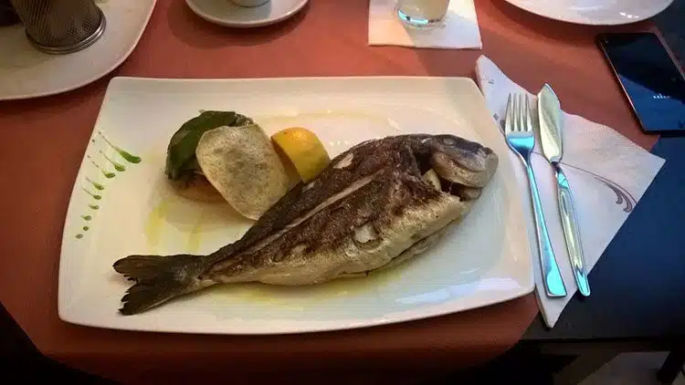 Dorade im Pequeña Habana Dorade im Pequeña Habana