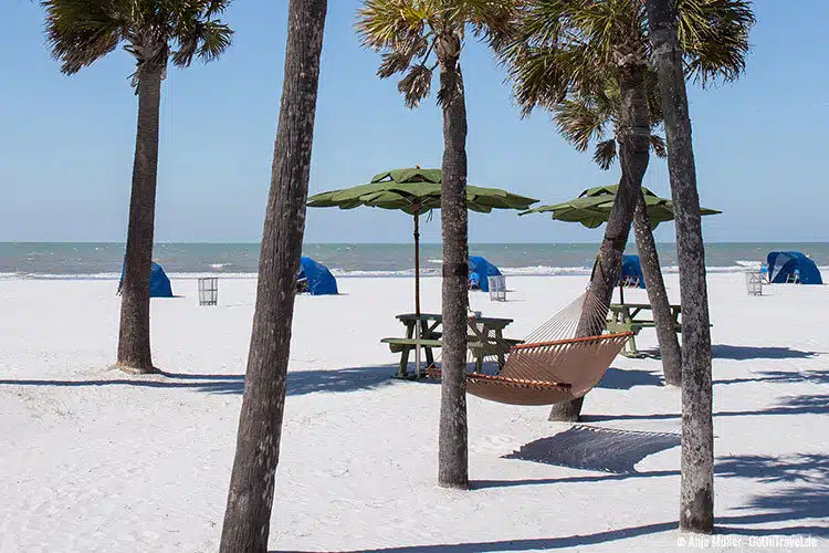 Beachlife Florida