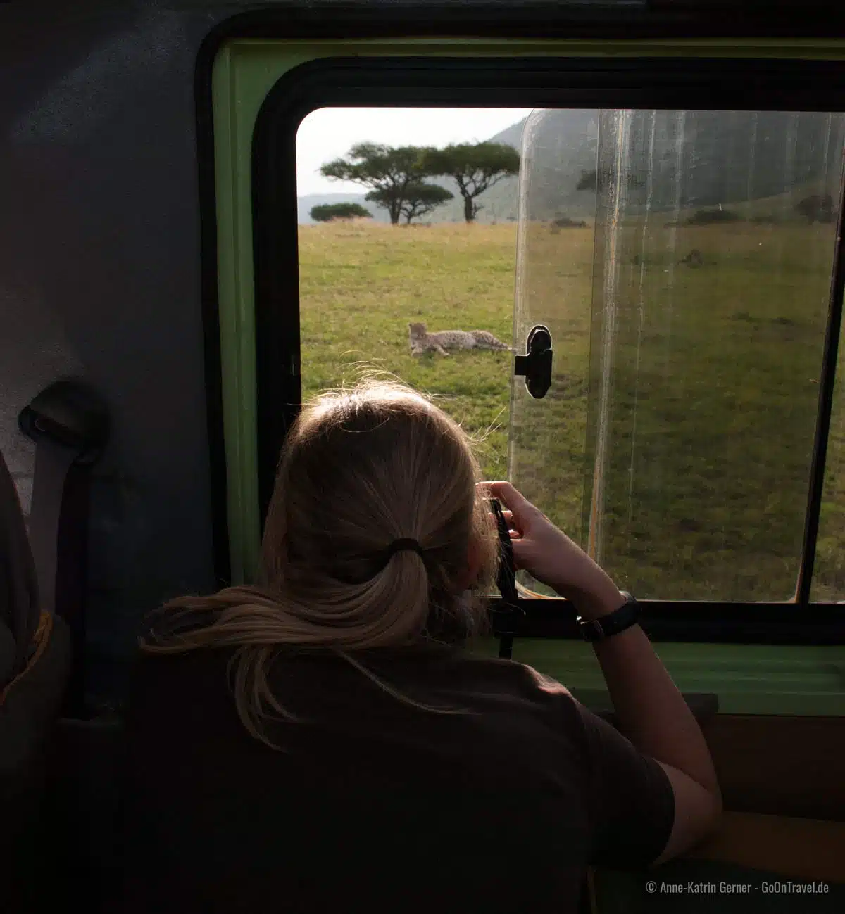 Fotografieren auf Safari: den Gepard im Blick