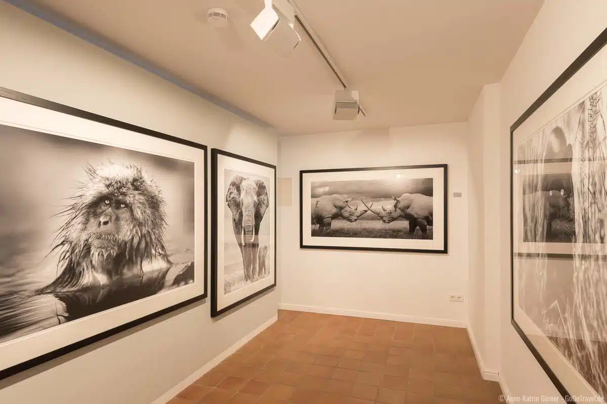 Lars Beusker Fine-Art Photography in der 159. Gallery in Keitum