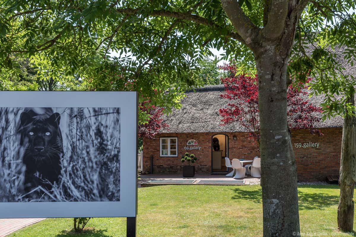 159. Gallery in Keitum ist eine von zahlreichen Galerien auf Sylt