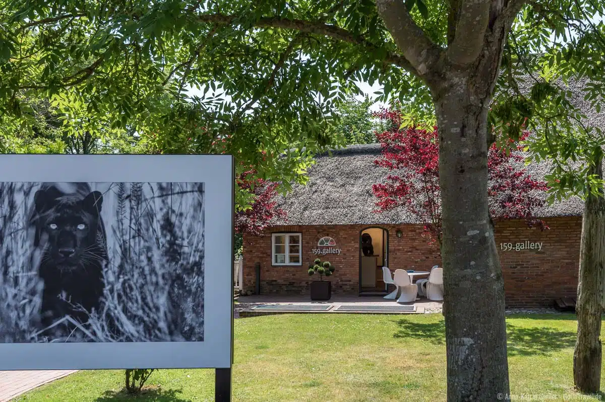 159. Gallery in Keitum ist eine von zahlreichen Galerien auf Sylt 159. Gallery in Keitum ist eine von zahlreichen Galerien auf Sylt