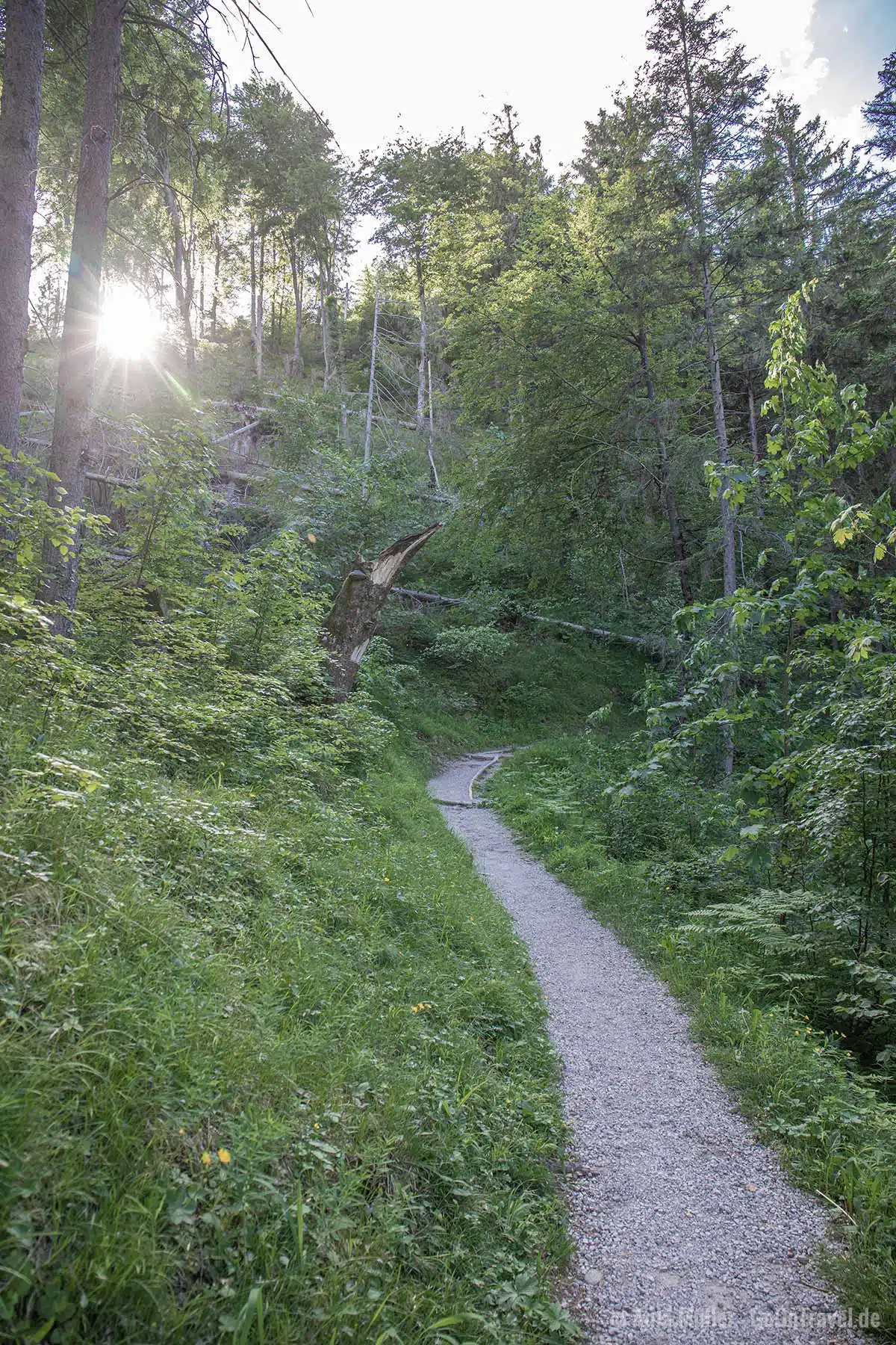 Kellerleitensteig Kellerleitensteig