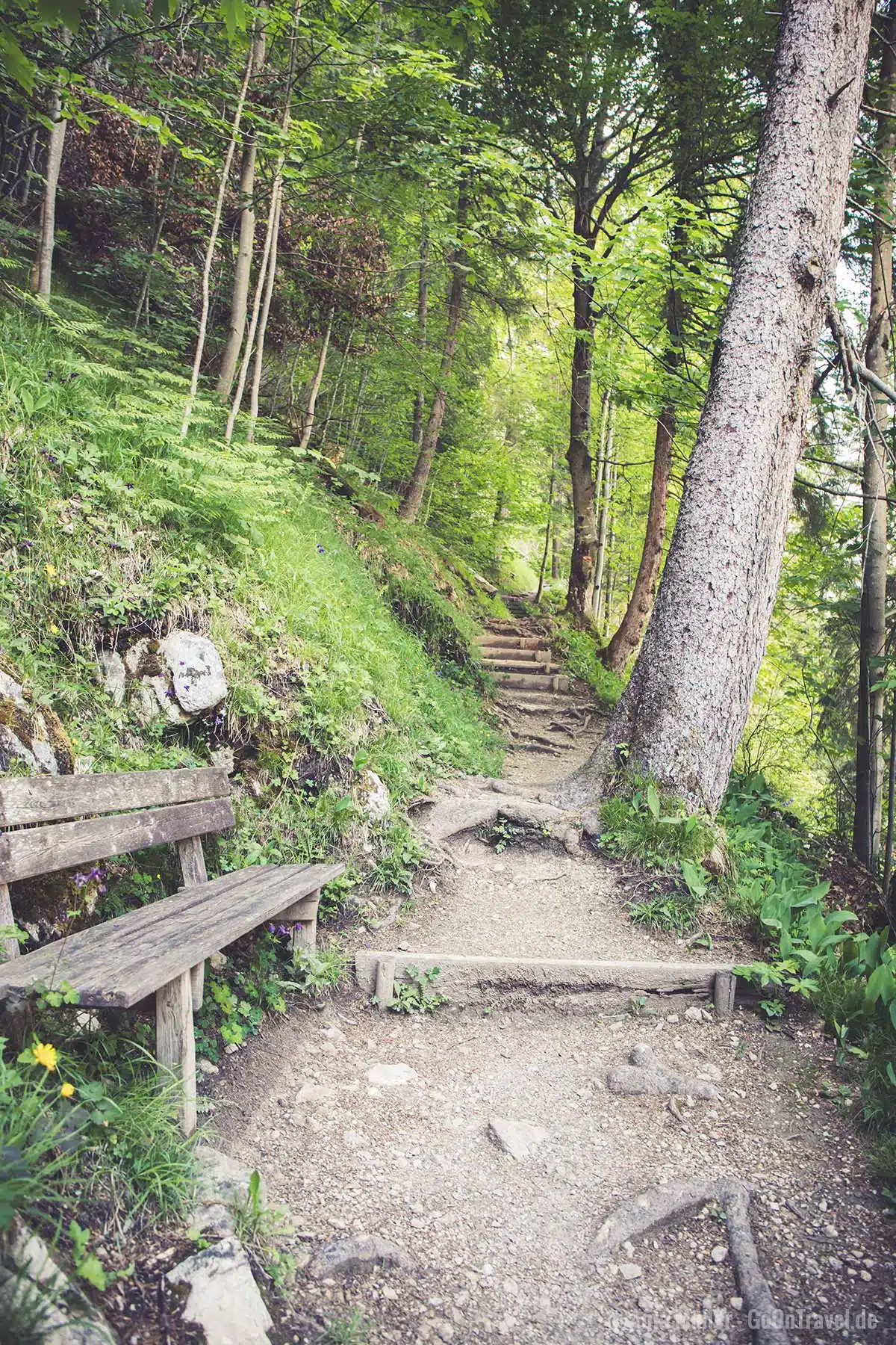 Schöner Wanderweg am Grasberg Schöner Wanderweg am Grasberg