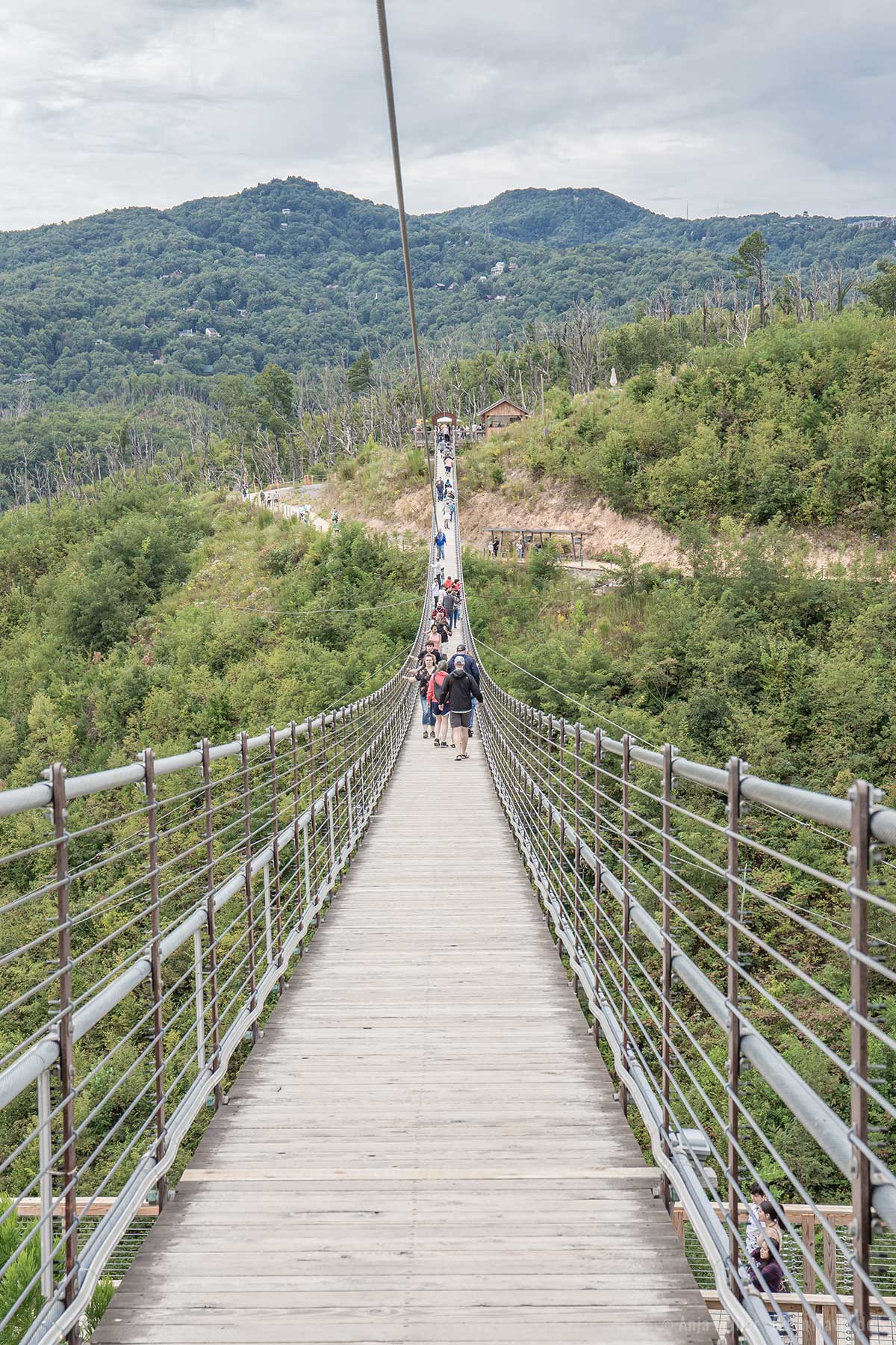 Gatlinburg SkyBridge