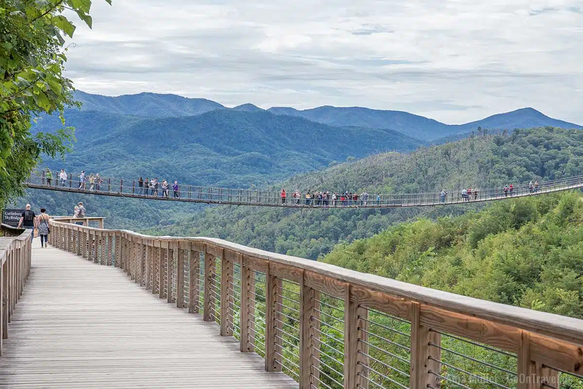 Boardwalk vom SkyTrail Boardwalk vom SkyTrail