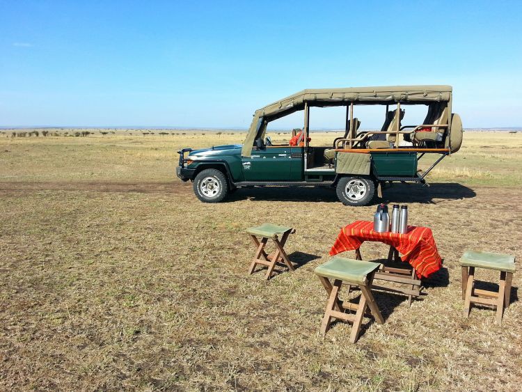 Buschfrühstück in der Wildnis Buschfrühstück in der Wildnis