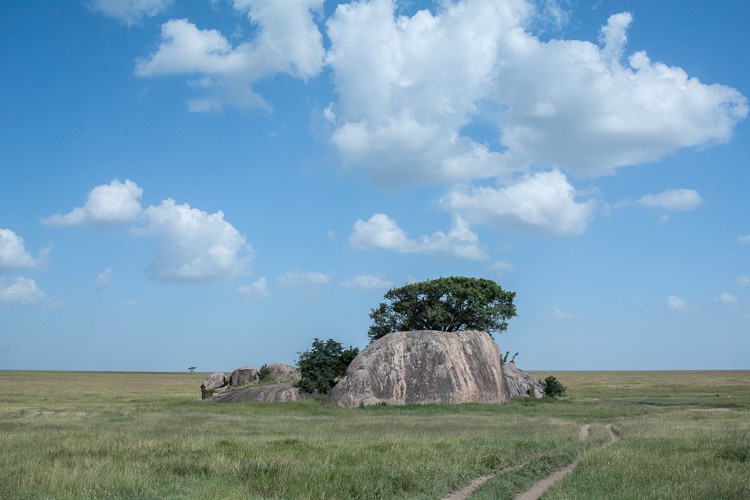Kopjes in der Zentral-Serengeti