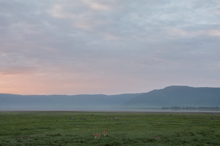 Sonnenaufgang im Ngorongoro Krater