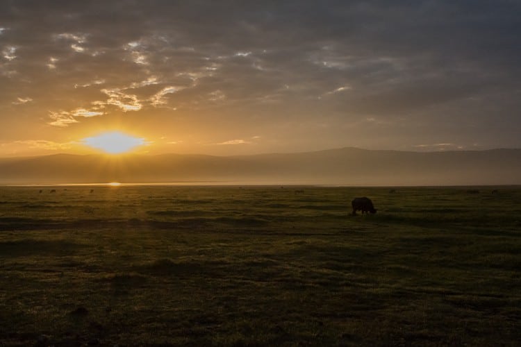 Der Tag beginnt im Ngorongoro Krater