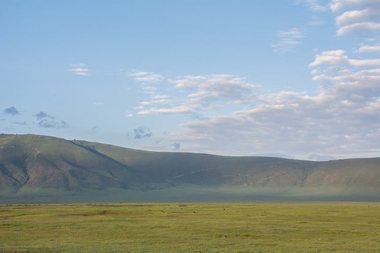 die tiefgrünen Hänge des Ngorongoro Kraters