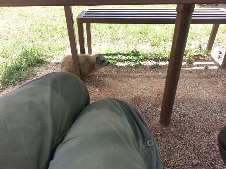 Picknick mit Pimbi