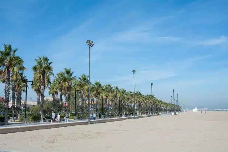 Palmen gesäumte Promande und endlos breiter Strand Palmen gesäumte Promenade und endlos breiter Strand