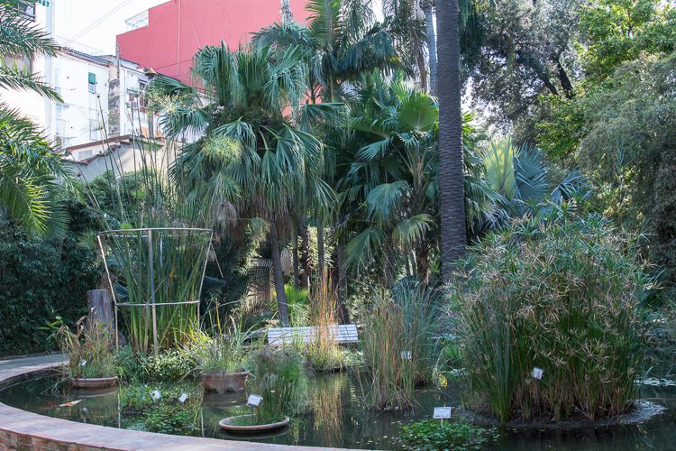im Botanischen Garten im Botanischen Garten