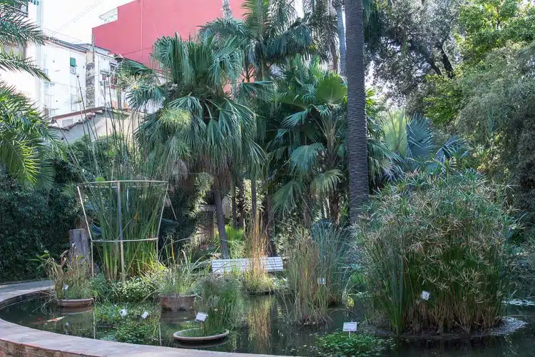 im Botanischen Garten im Botanischen Garten