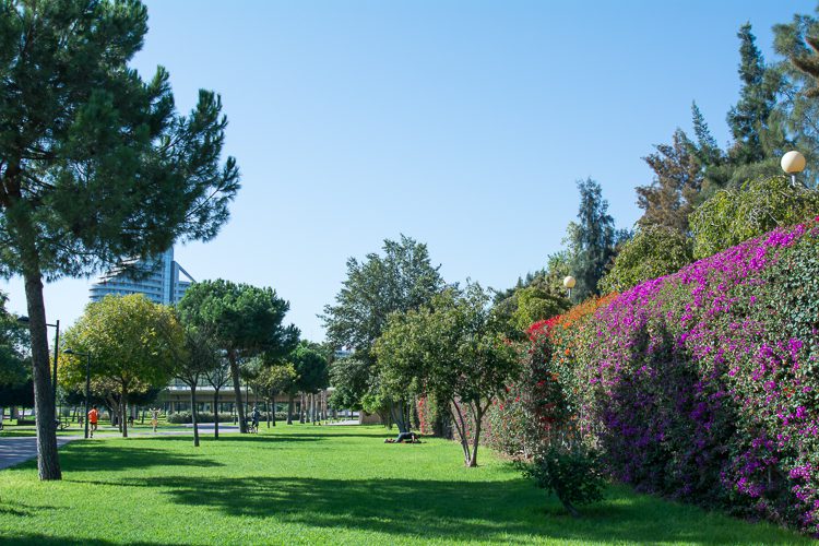 Turia-Park in Valencia Turia-Park in Valencia