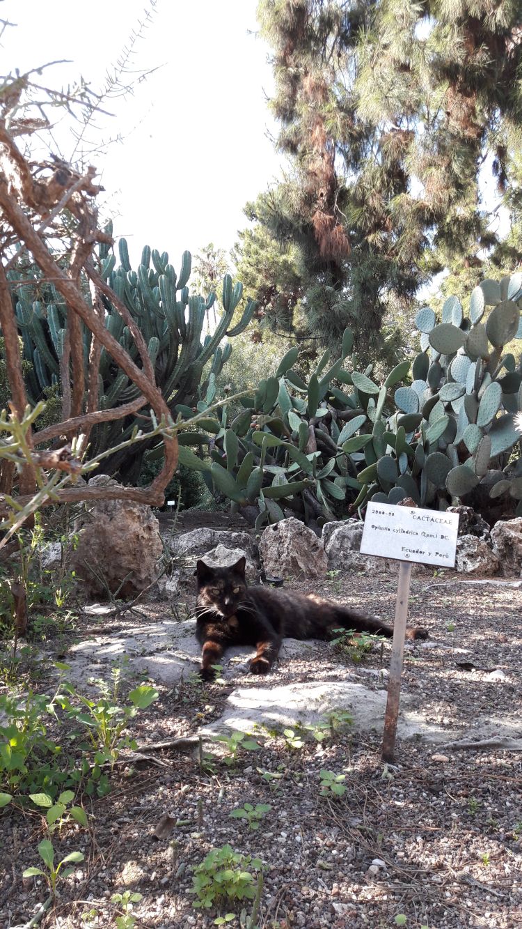 ein Bewohner des Botanischen Gartens ein Bewohner des Botanischen Gartens