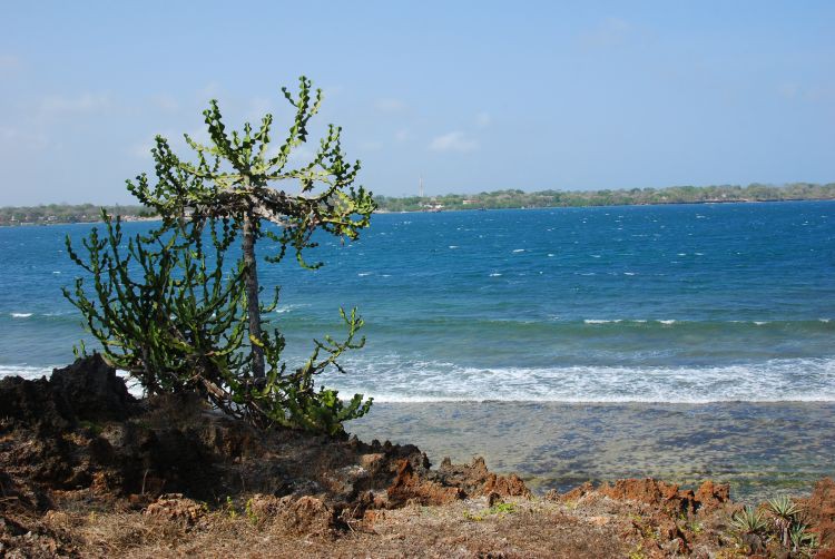 Blick von Wasini Island