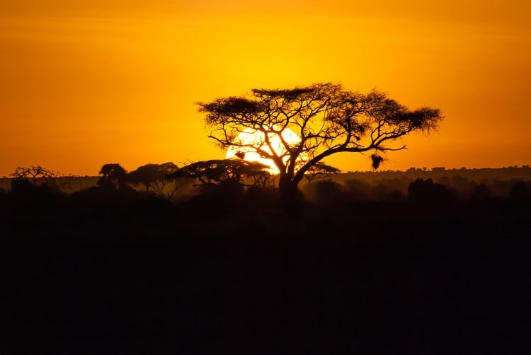 Amboseli Sonnenuntergang