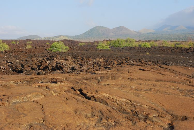 Shetani Lavafeld