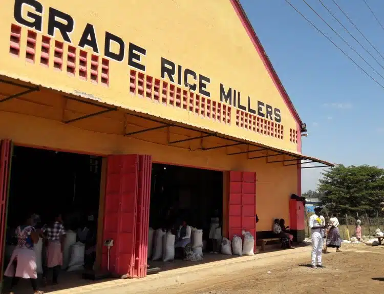 Reismühle in der Nähe des Mount Kenya