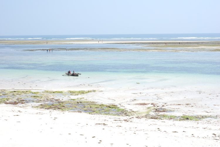 Diani Beach bei Ebbe