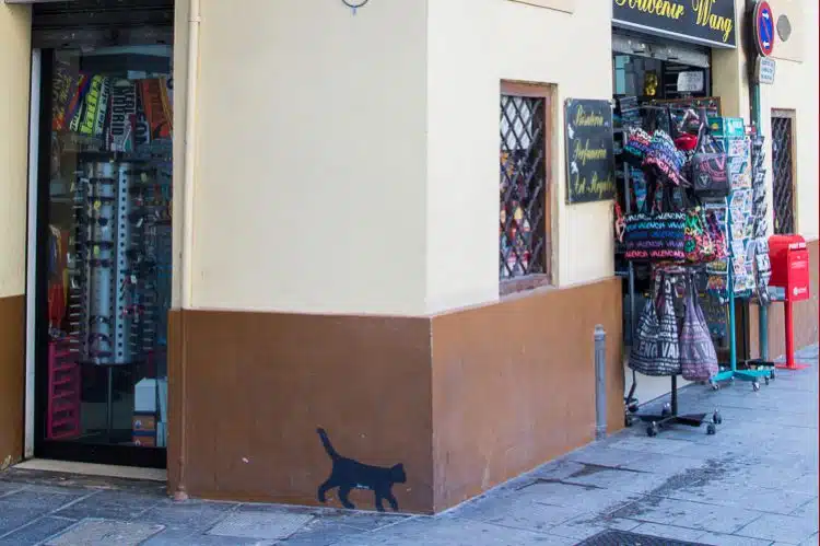 Die kleine schwarze Katze von El Carmen