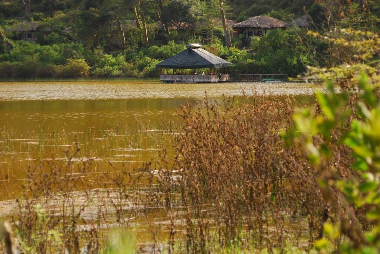 Green Crater Lodge Kenia