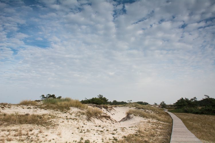 durch die Dünenlandschaft