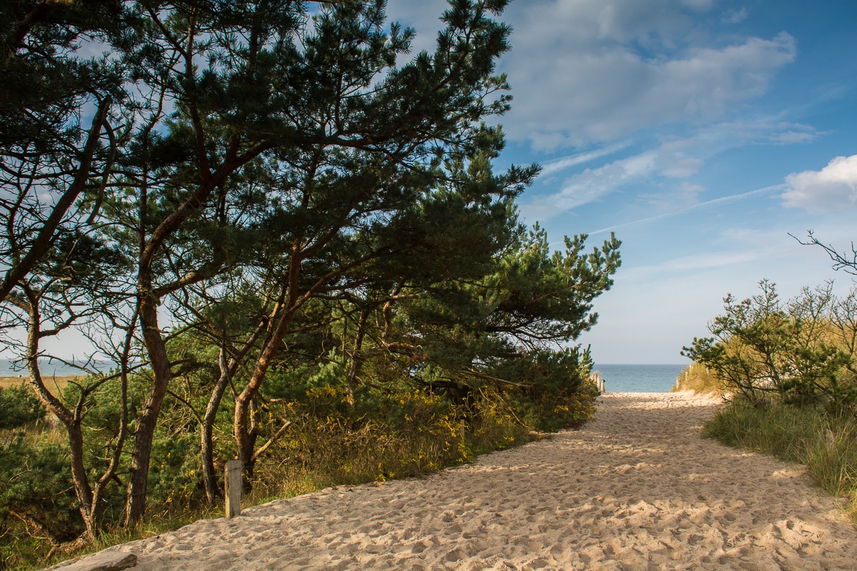 Halbinsel Fischland Darss Zingst zum Herbst GoOnTravel.de