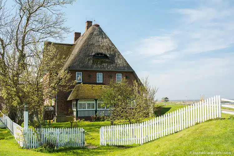 Hanswarft auf Hallig Hooge Hanswarft auf Hallig Hooge