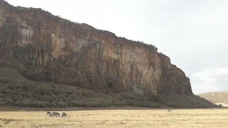 Zebras und Canyons im Hell's Gate Nationalpark Zebras und Canyons im Hell's Gate Nationalpark