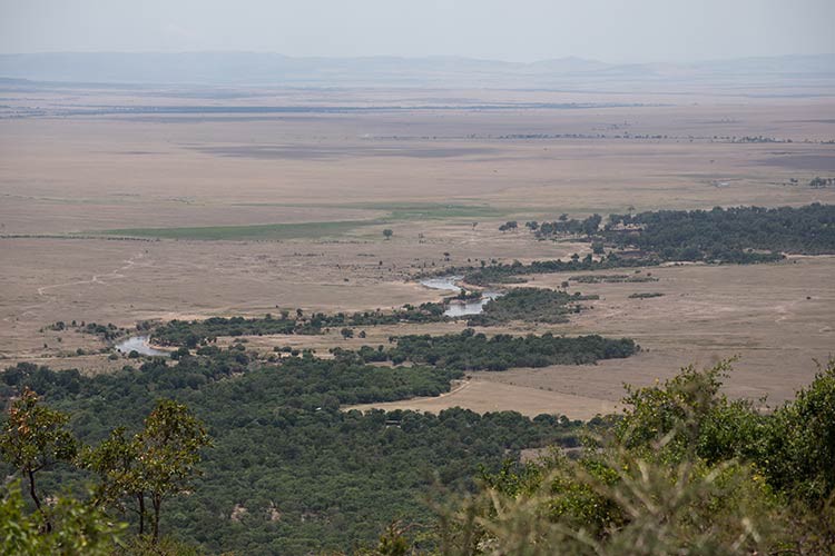 Blick auf den Mara River vom Kilima Camp aus Blick auf den Mara River vom Kilima Camp aus