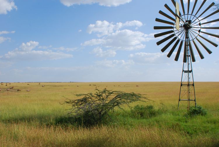 die Weite der Maasai Mara