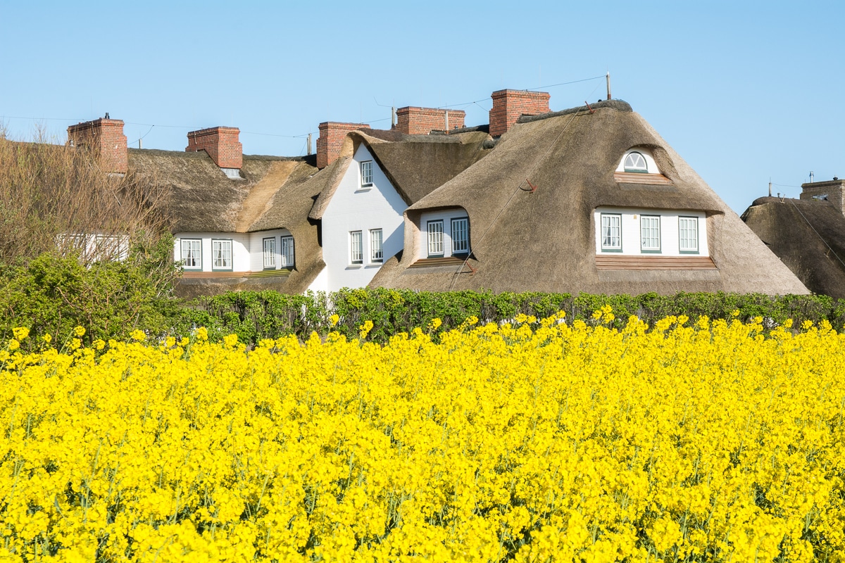 So schön ist Sylt im Frühling und im Sommer