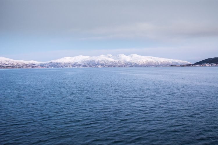 im Eismeer vor Tromsö