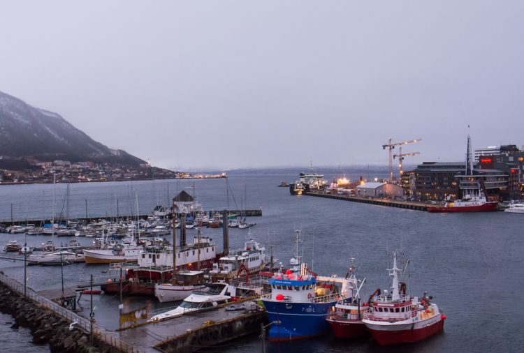 Blick von der Tromsö-Brücke in den Hafen