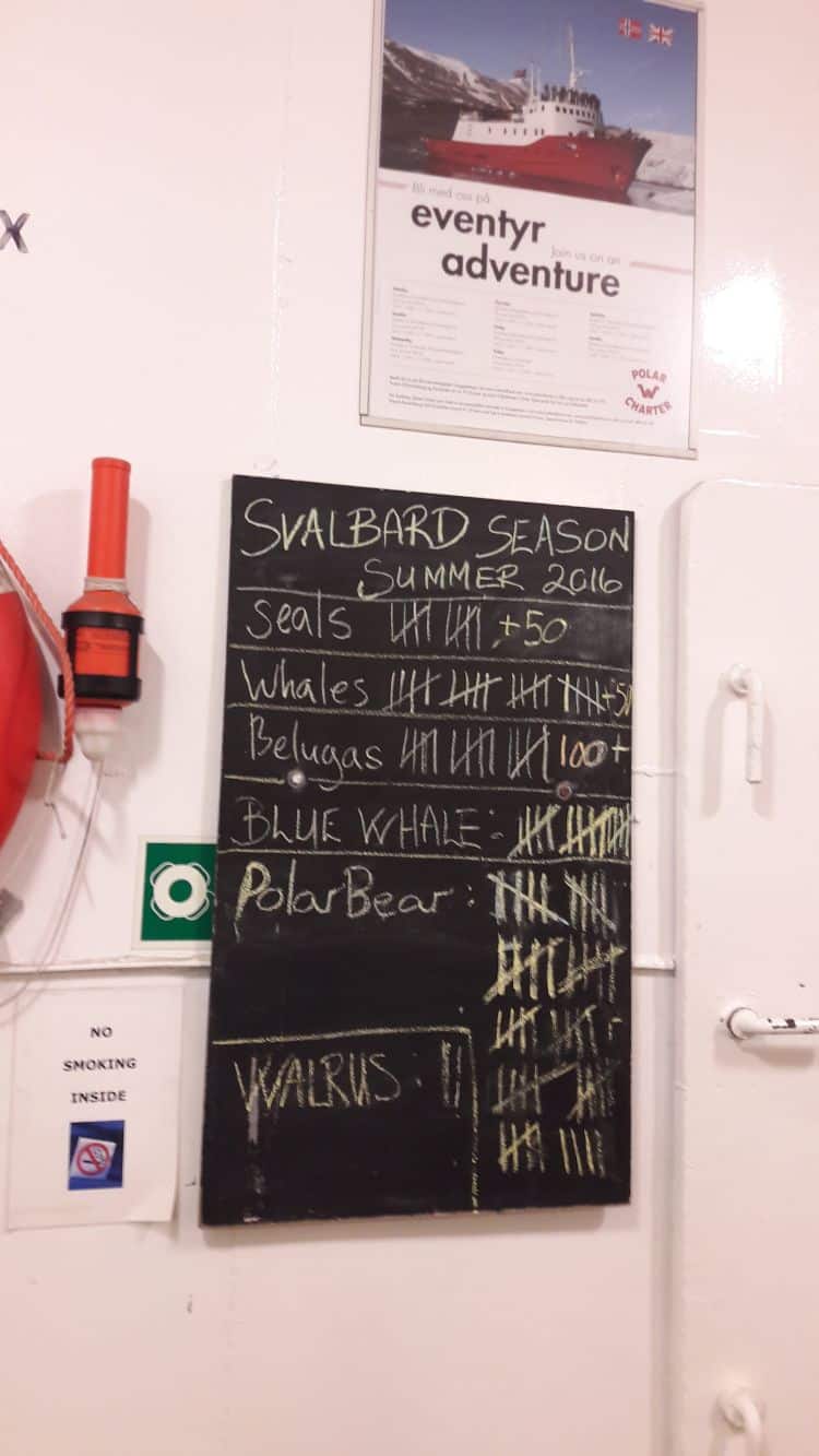 Wie wäre es mit Svalbard im nächsten Sommer?? Wie wäre es mit Svalbard im nächsten Sommer??