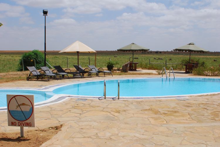 Pool mit Aussicht auf Zebras Pool mit Aussicht auf Zebras