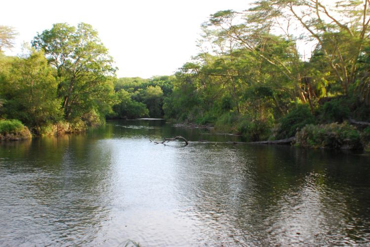 Mizma Springs im Tsavo West Mizma Springs im Tsavo West