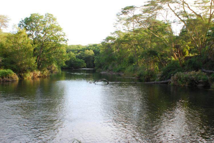 Mizma Springs im Tsavo West