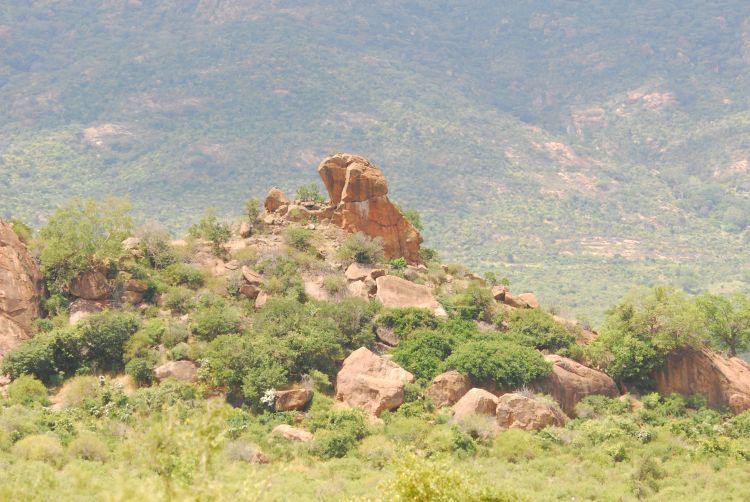Tsavo West Tsavo West