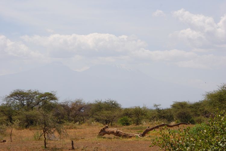 Blick auf den Kilimanjaro Blick auf den Kilimanjaro